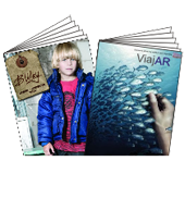 Revistas